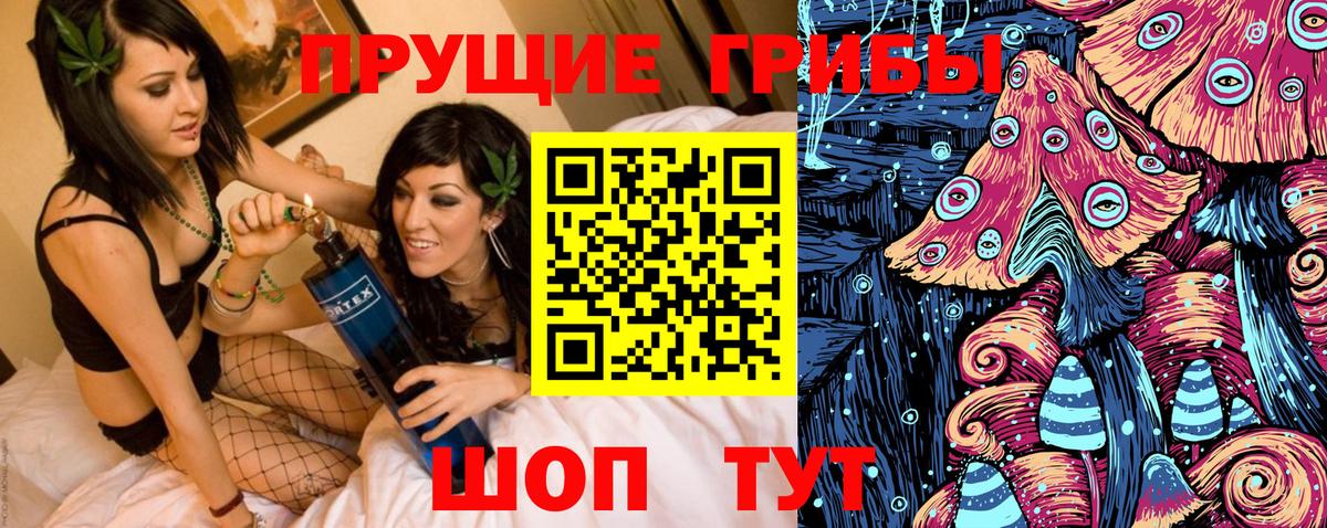Псилоцибиновые грибы прущие грибы  Вход с VPN  Балашиха 